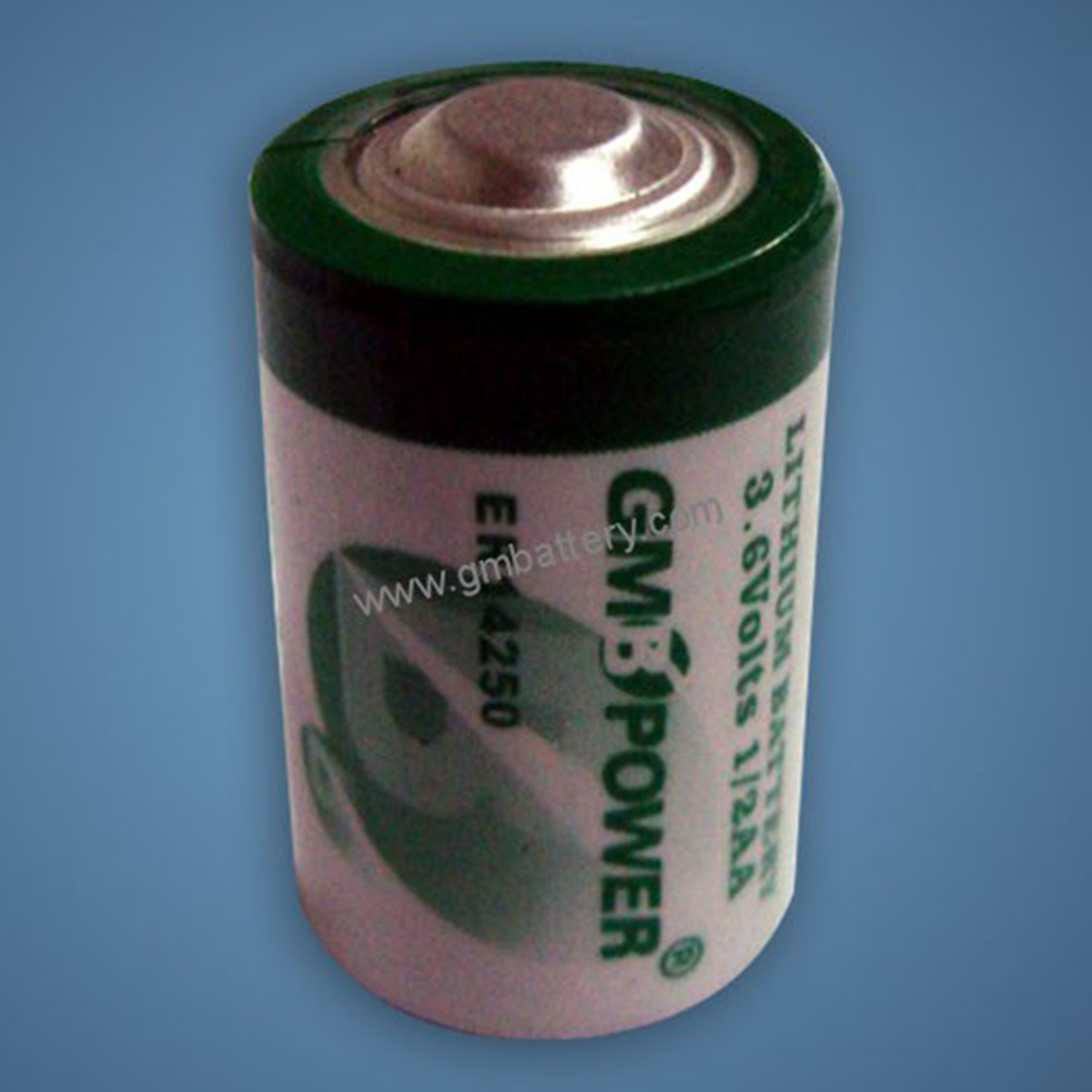 LISOCl2 Battery Energy Type (2).jpg